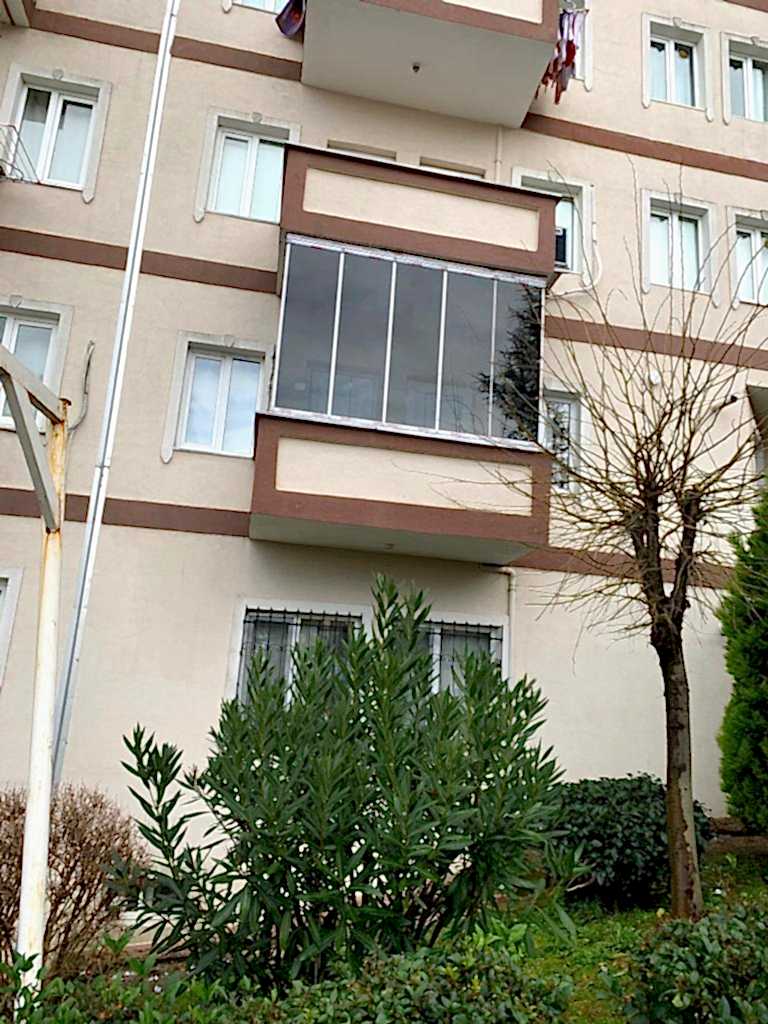 253026.jpg